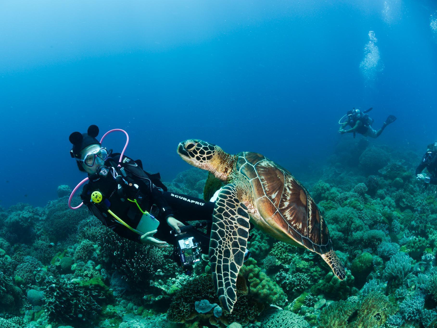 Acqua Dive Acomodação com café da manhã Zamboanguita  Exterior foto