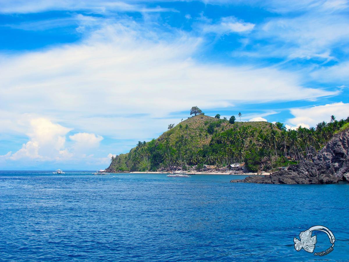Acqua Dive Acomodação com café da manhã Zamboanguita  Exterior foto