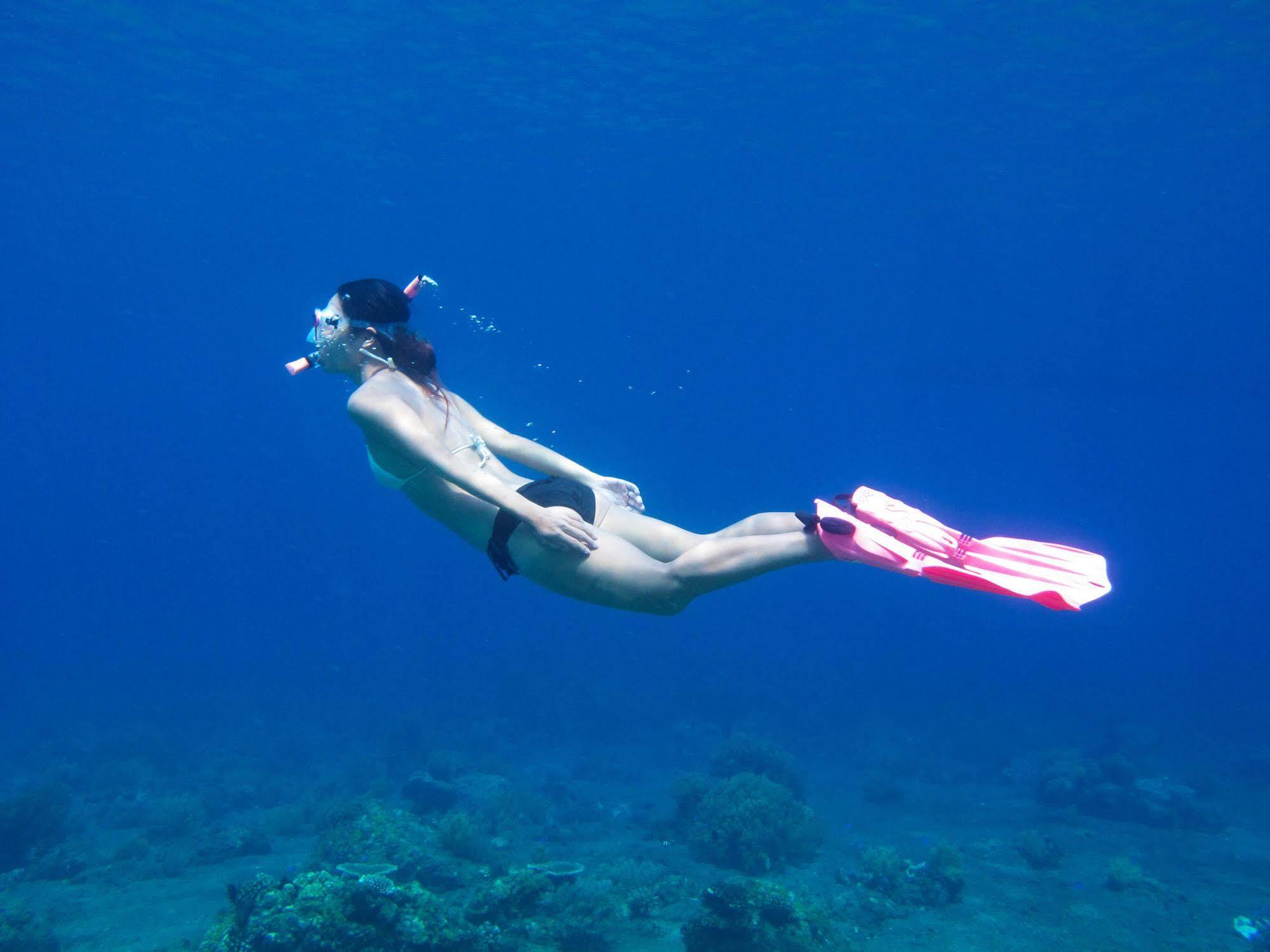 Acqua Dive Acomodação com café da manhã Zamboanguita  Exterior foto
